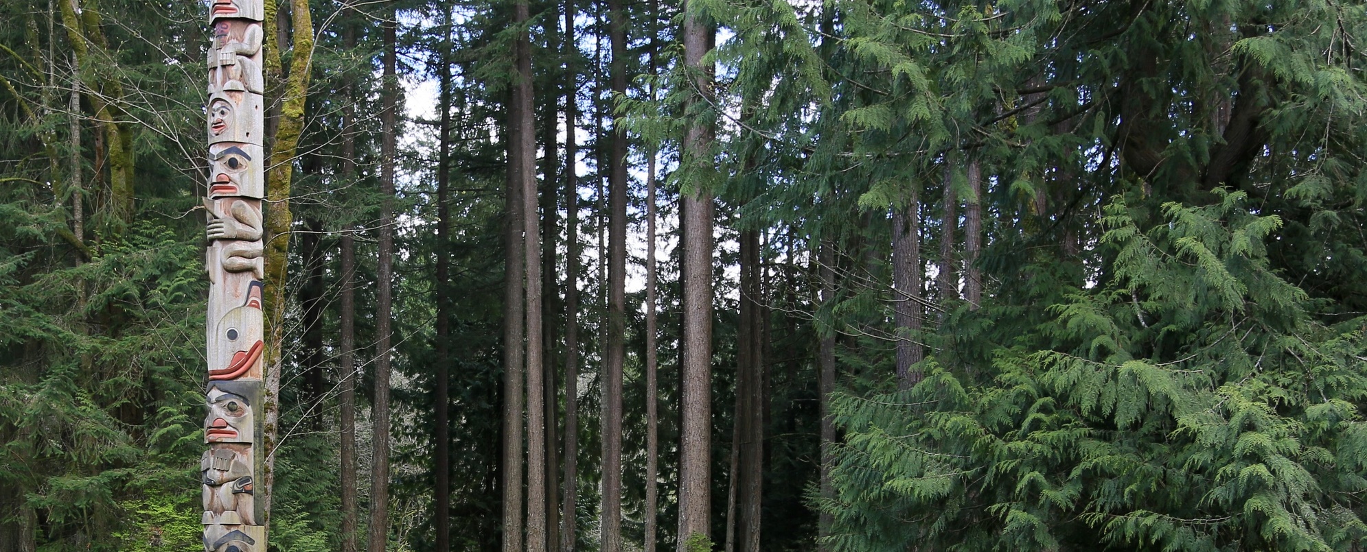 Sammamish Friends Photo Contest For Kids