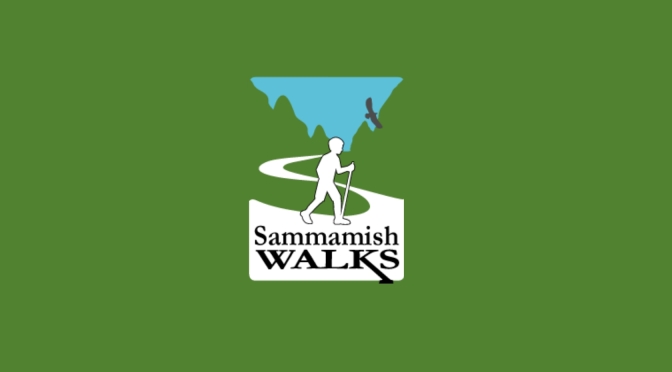 Sammamish Walks
